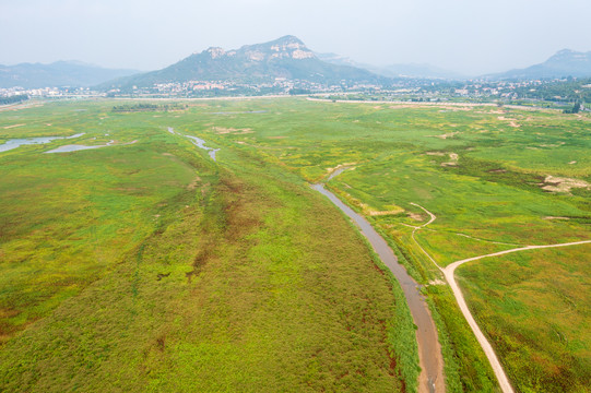 航拍济南卧虎山水库变身大草原