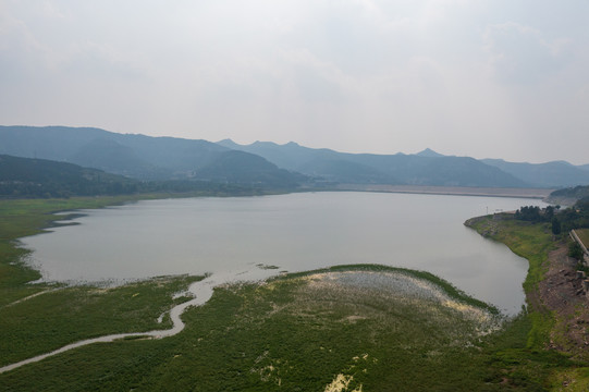 航拍济南卧虎山水库变身大草原