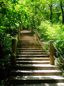 登山步道