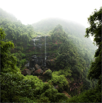 翠竹林密幽深图