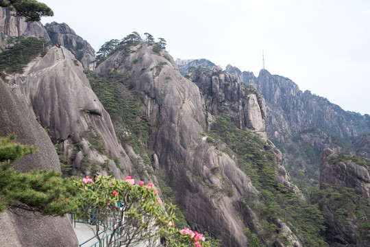 安徽黄山的山峰奇石