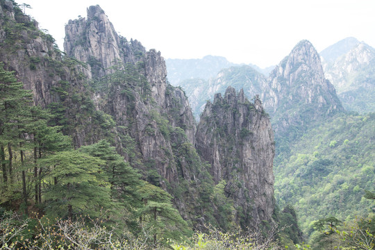 安徽黄山的山峰奇石