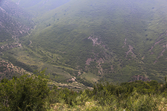 大青山