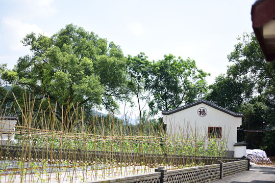 桂林灵川山口风光