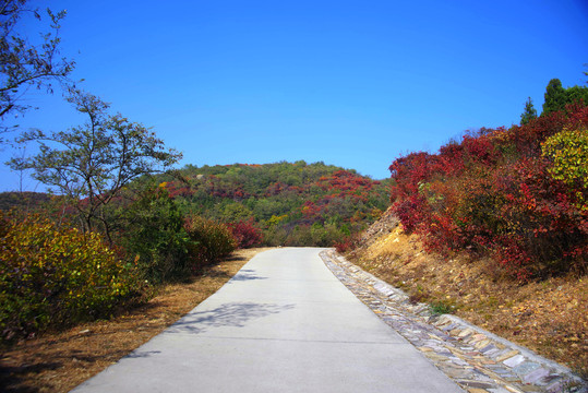 北京西山国家森林公园