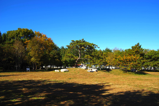 北京永定门公园