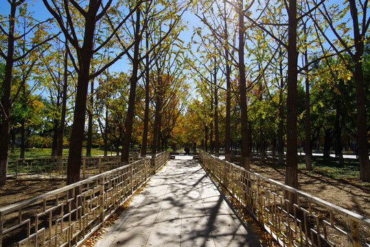 北京永定门公园