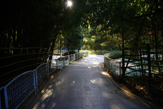 北京翠微烟雨公园