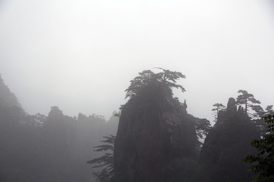 雨雾黄山