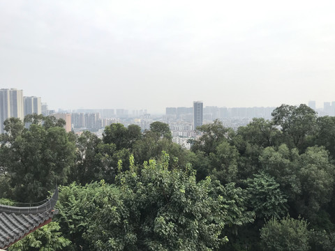 雷岗公园风景