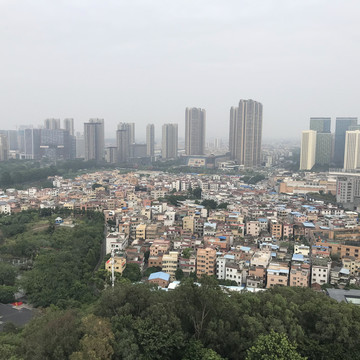 雷岗公园风景