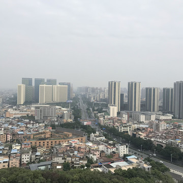 雷岗公园风景