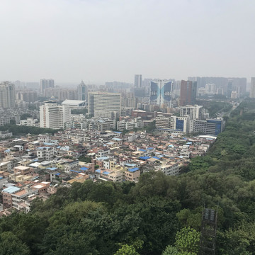 雷岗公园风景