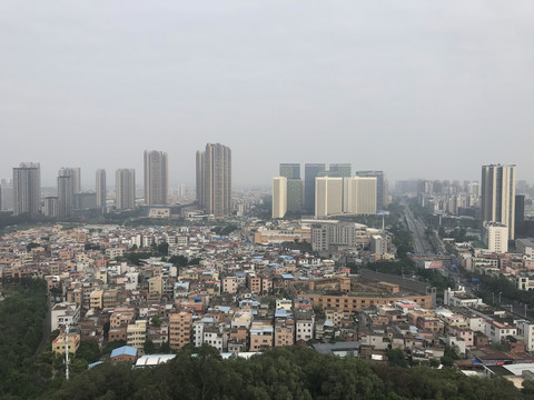 雷岗公园风景