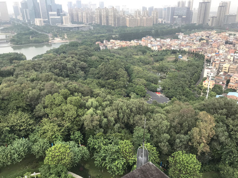 雷岗公园风景