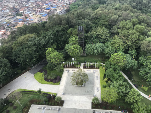 雷岗公园风景