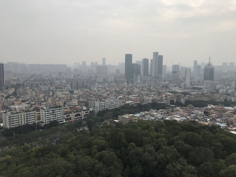 雷岗公园