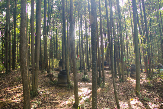 野战场地