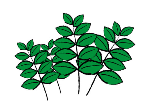 手繪路邊小草