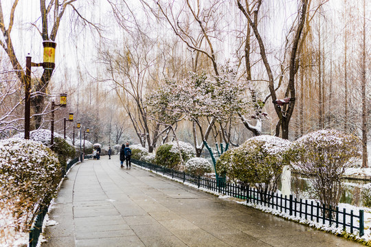 济南大明湖公园雪景