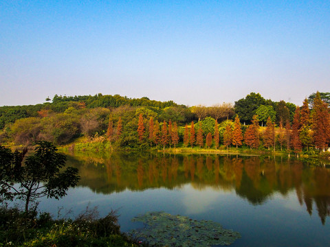 水濂山