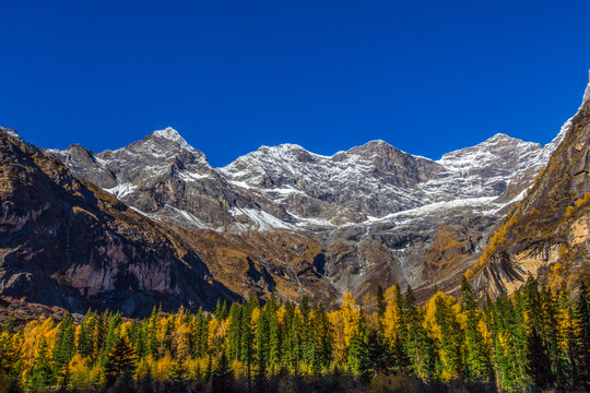 四姑娘山