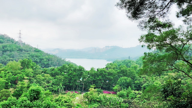 深圳梧桐山仙湖植物园