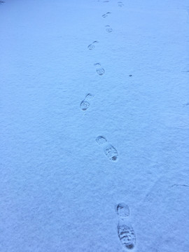 雪地中的脚印