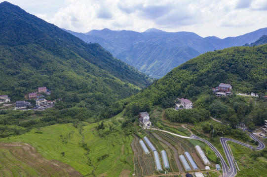 青山绿水浙江安吉董岭村