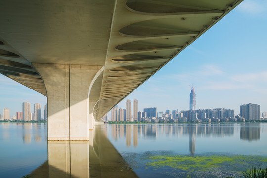 武汉城市天际线和沙湖大桥风光