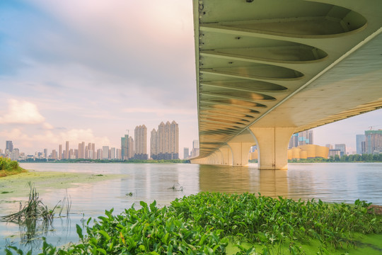 武汉城市天际线和沙湖大桥风光