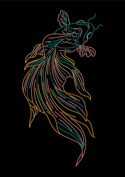 錦鯉線稿