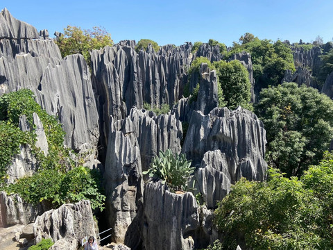 昆明石林景区