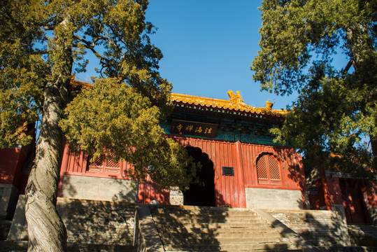 北京法海寺森林公园