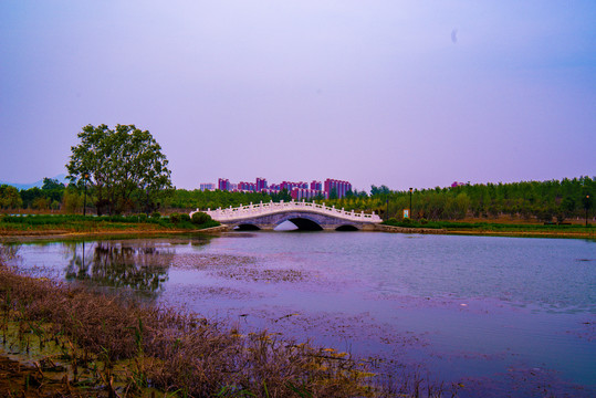 北京白浮泉遗址