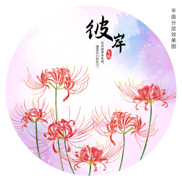 手繪彼岸花插畫
