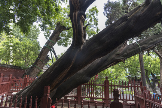 山西省晋祠风景区