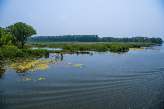 微山湖风光