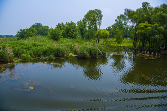 微山湖风光