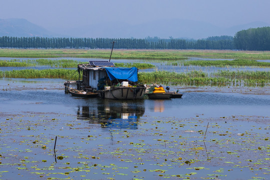 微山湖风光