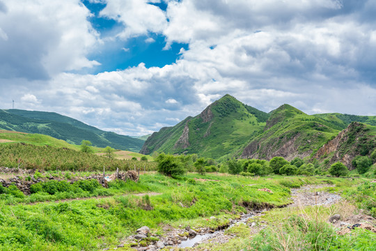 河北塞罕坝草原风景