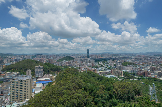 东莞长安镇全景