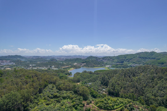 长安镇莲花山