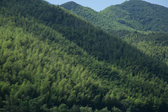 溧阳南山竹海