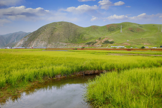 桑科湿地公园