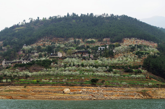 长江游轮三峡游