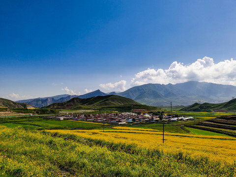 青海高原