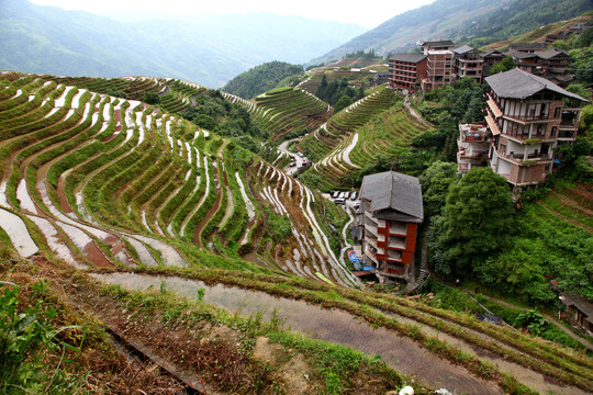 龙脊梯田