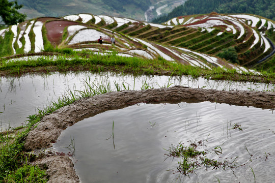 龙脊梯田