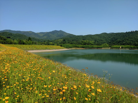 山青水绿